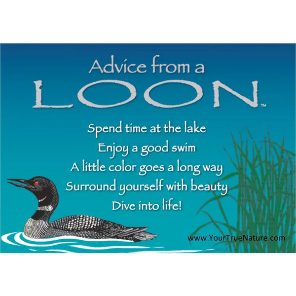Advice from Nature Magnets