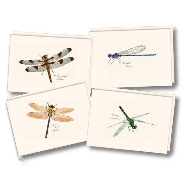 Dragonfly & Damselfly Assortment Notecard Set
