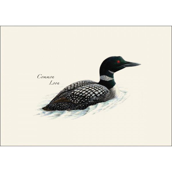 Loon Assortment Notecard Set