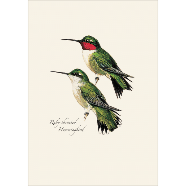 Peterson Hummingbird Assortment