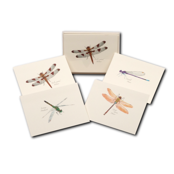 Dragonfly & Damselfly Assortment Notecard Set