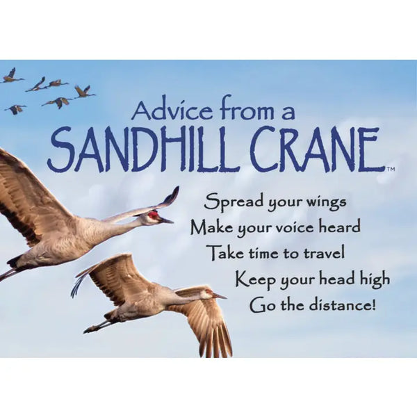 Advice from Nature Magnets