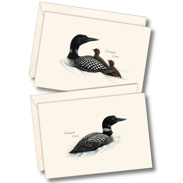 Loon Assortment Notecard Set