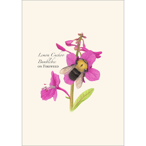 Spring Bee Assortment