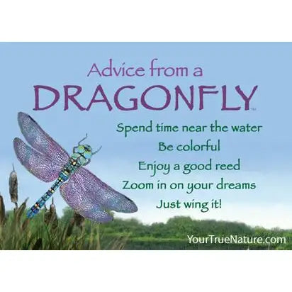 Advice from Nature Magnets