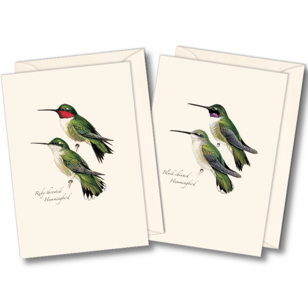 Peterson Hummingbird Assortment