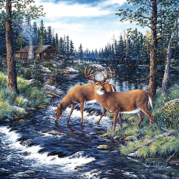 Nature Puzzles for Adults