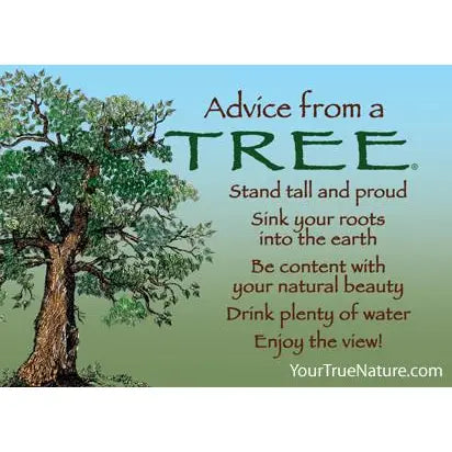 Advice from Nature Magnets