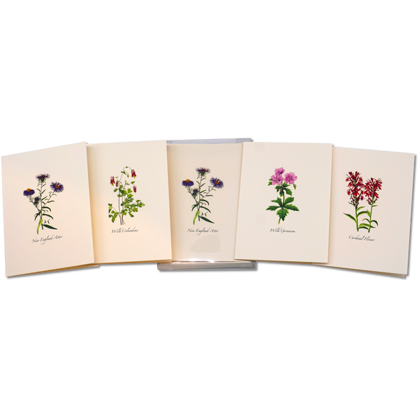 Meadow Wildflower  Asst.