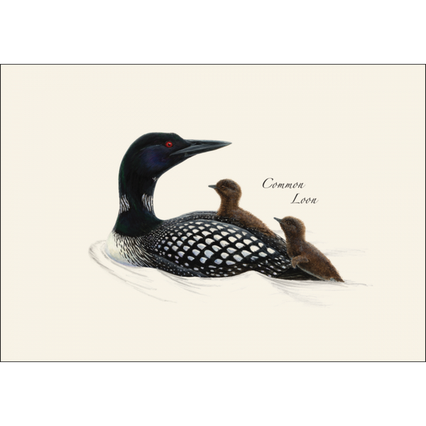 Loon Assortment Notecard Set