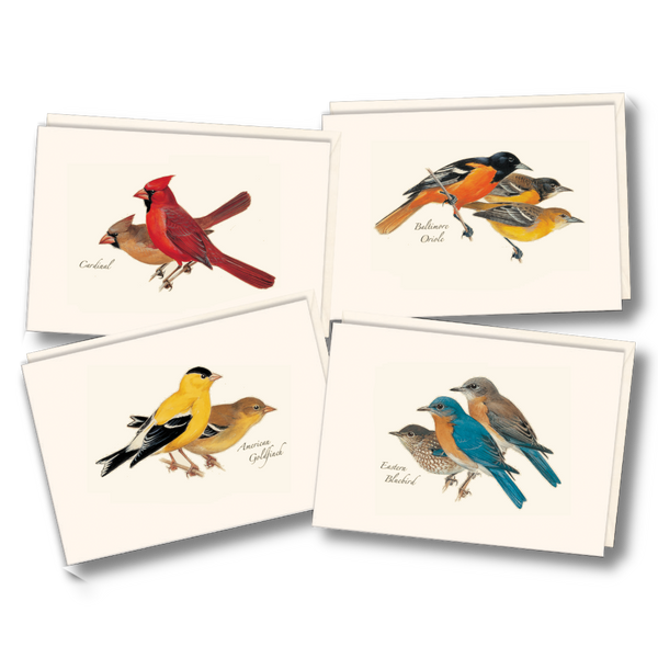 Peterson Bird Assortment