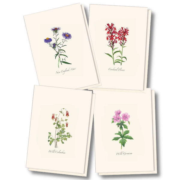 Meadow Wildflower  Asst.