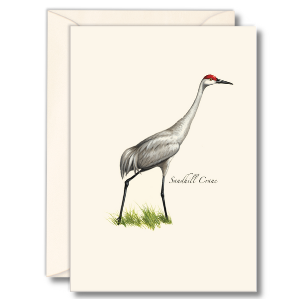 Sandhill Crane Notecard Set