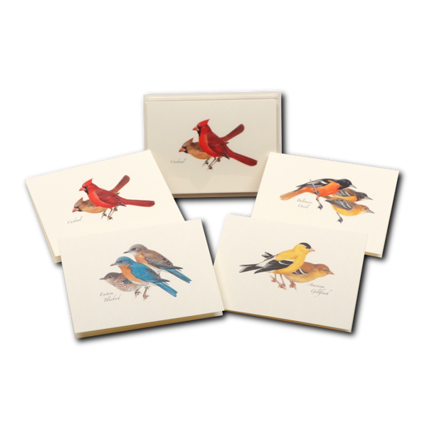Peterson Bird Assortment