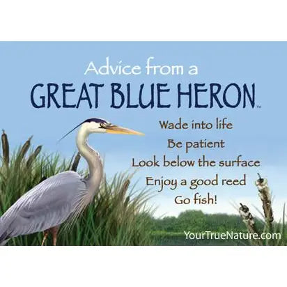 Advice from Nature Magnets