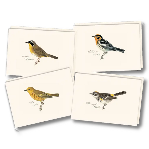 Peterson Warbler Assortment notecards 8pk