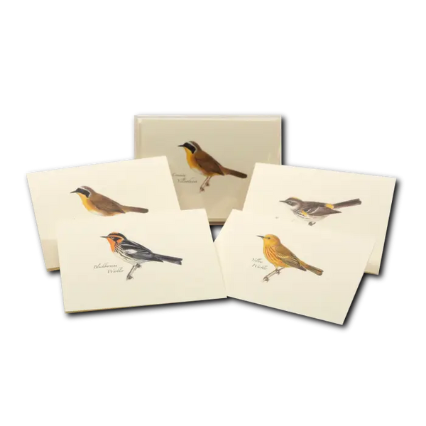 Peterson Warbler Assortment notecards 8pk