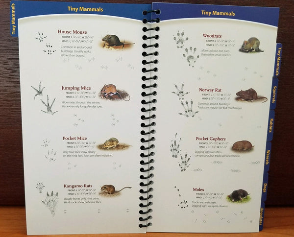 Animal Tracks Midwest - Quick Guide