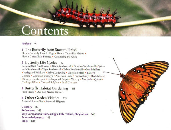 Life Cycles of Butterflies (The)