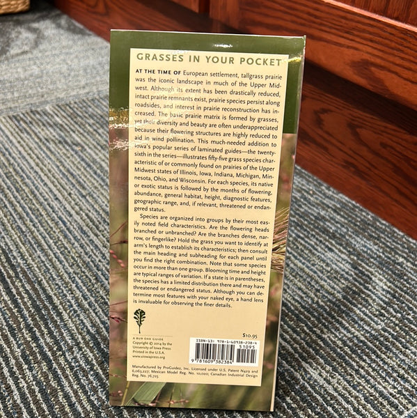 Grasses In Your Pocket - Folding Guide