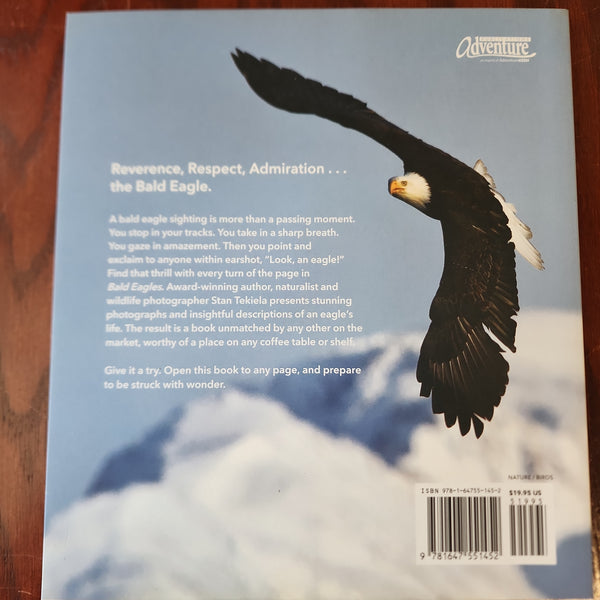 Bald Eagles: The Ultimate Raptors