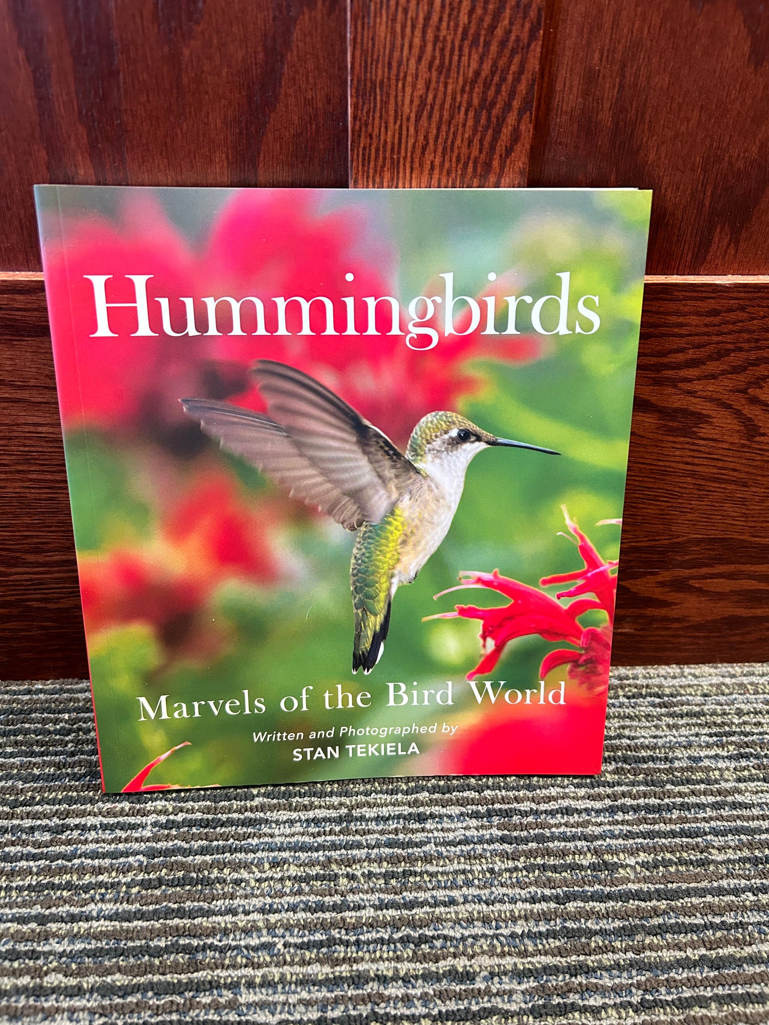 Hummingbirds Marvels Of The Bird World