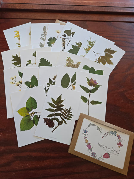 Heart + Land Postcard Sets - Dakota and Ojibwe