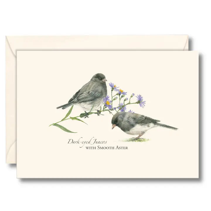 Dark-eyed Juncos Note Cards - 8pk