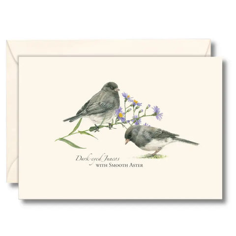 Dark-eyed Juncos Note Cards - 8pk