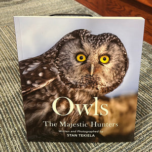 Owls The Majestic Hunters
