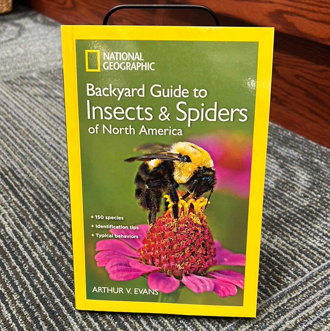 National Geographic Backyard Guide to Insects & Spiders of North America