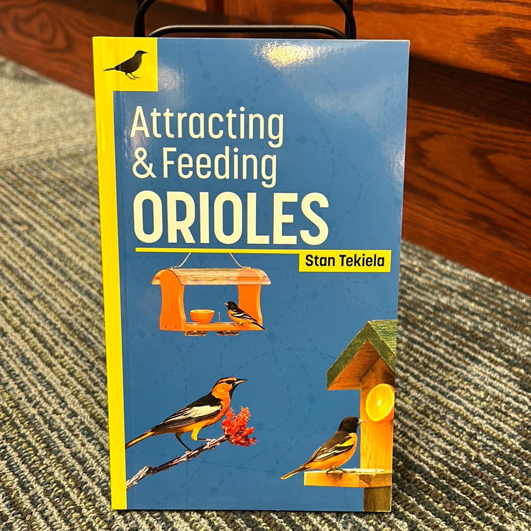 Attracting & Feeding ORIOLES