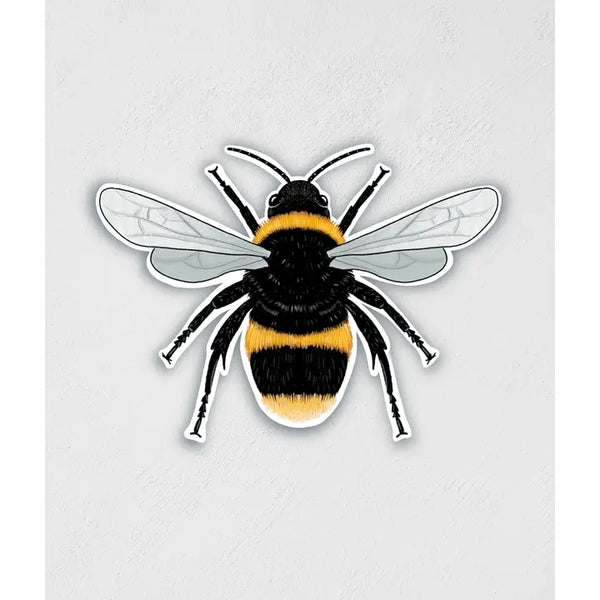 Selection/Variety of Vinyl Stickers