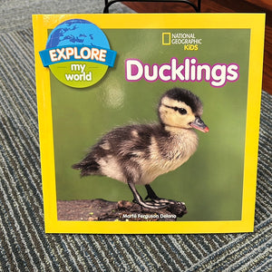 Explore My World - Ducklings