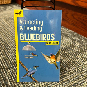 Attracting and feeding bluebirds