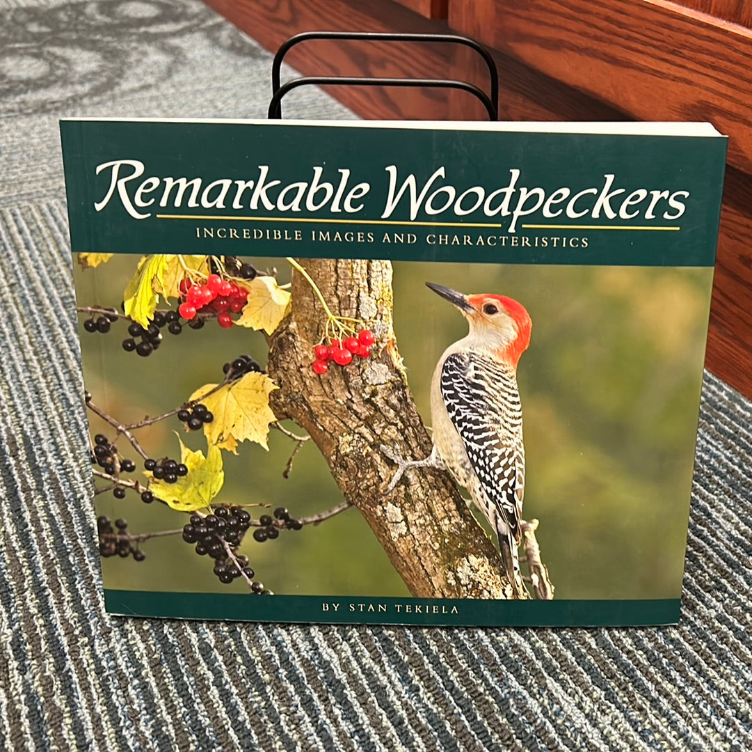 Remarkable Woodpeckers