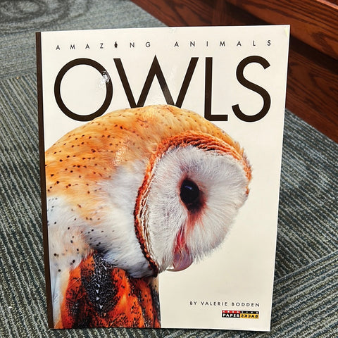 Amazing Animals - Owls