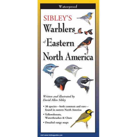 Sibley's Warblers of Eastern North America