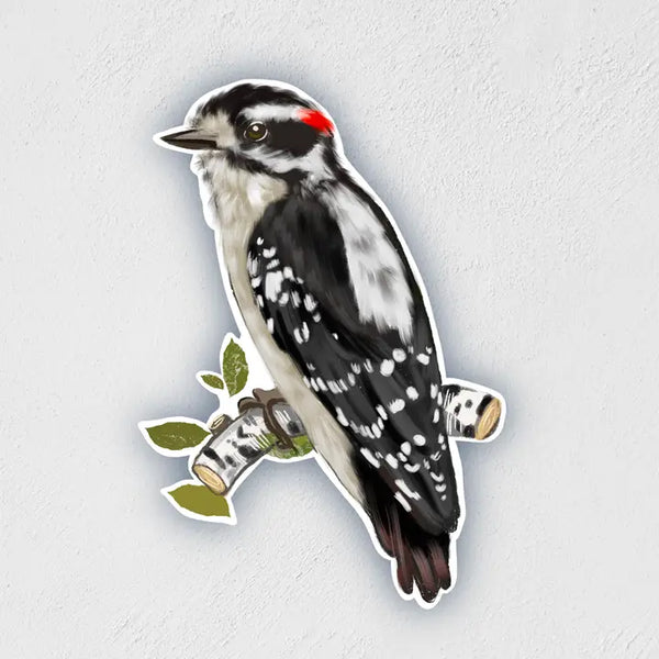 Selection/Variety of Vinyl Stickers