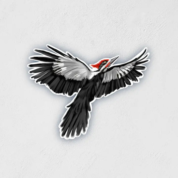 Selection/Variety of Vinyl Stickers