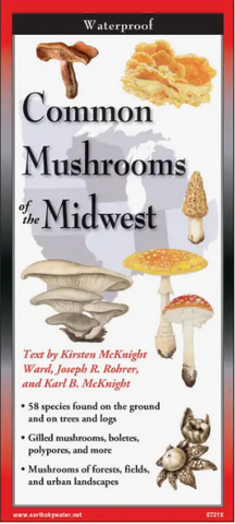 Common Mushrooms of the Midwest