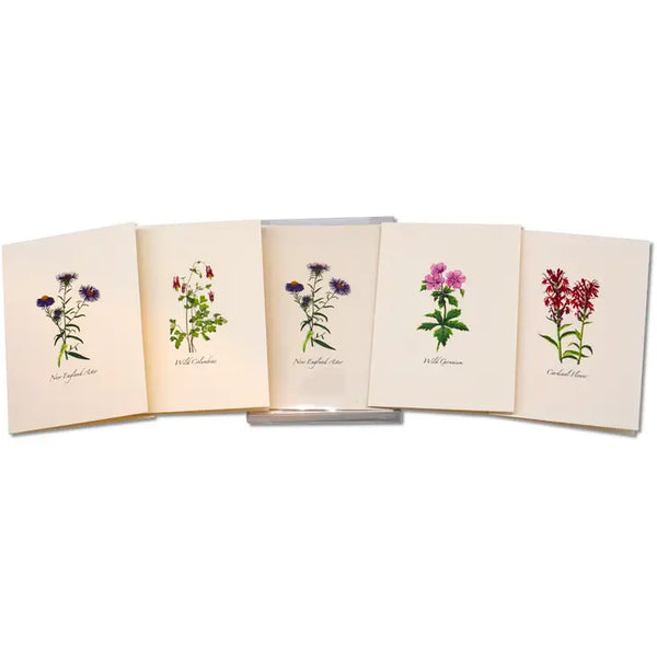 Wildflower notecards 8pk