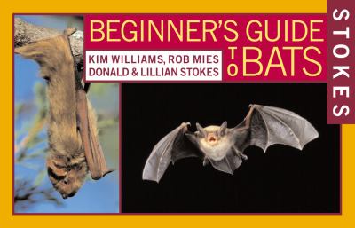 Beginner's Guide to Bats - Stokes