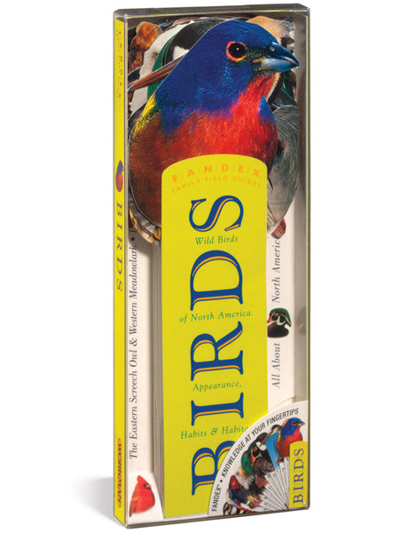 Birds Fandex