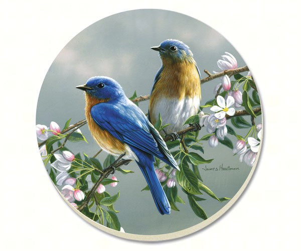 Beautiful Songbirds Bluebirds Coasters Set of 4