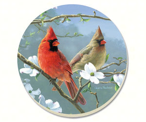 Beautiful Songbirds Cardinals Coasters Set of 4