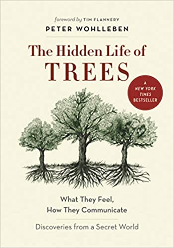 Hidden Lives of Trees (The)
