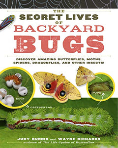 Clearance - Secret Lives of Backyard Bugs (The)