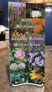 Native Wildflowers of Sherburne National Wildlife Refuge