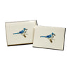 Blue Jay- Note Cards 8pk